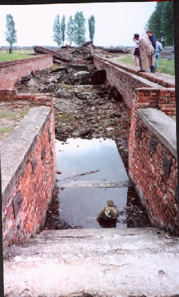 Birkenau